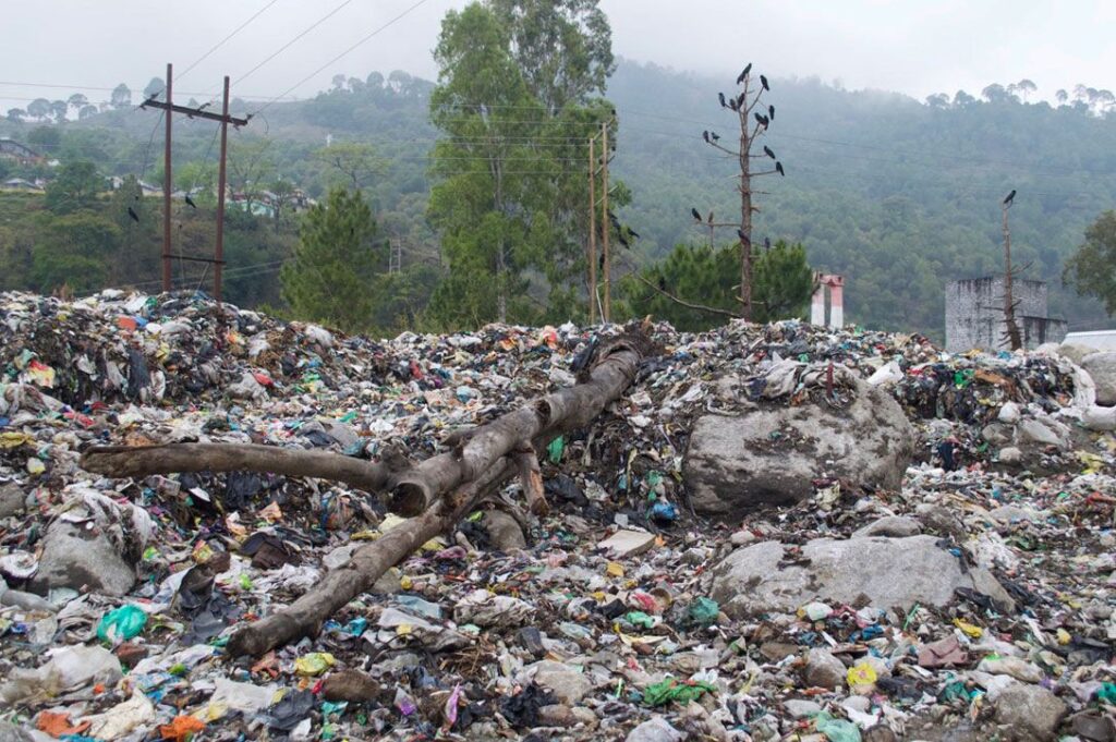 Ground-level evidence of a large garbage dump near a Palampur village, captured by the EIF field research team to document rural infrastructure and waste management bottlenecks.